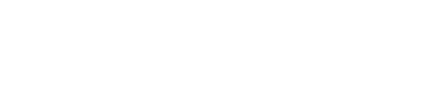 Logo TEXCITE
